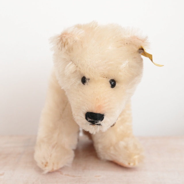 アンティーク シュタイフ シロクマ Steiff Polar Bear 12cm