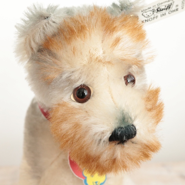 シュタイフ ラトラーテリア Steiff Rattler Terrier MUSEUM COLLECTION