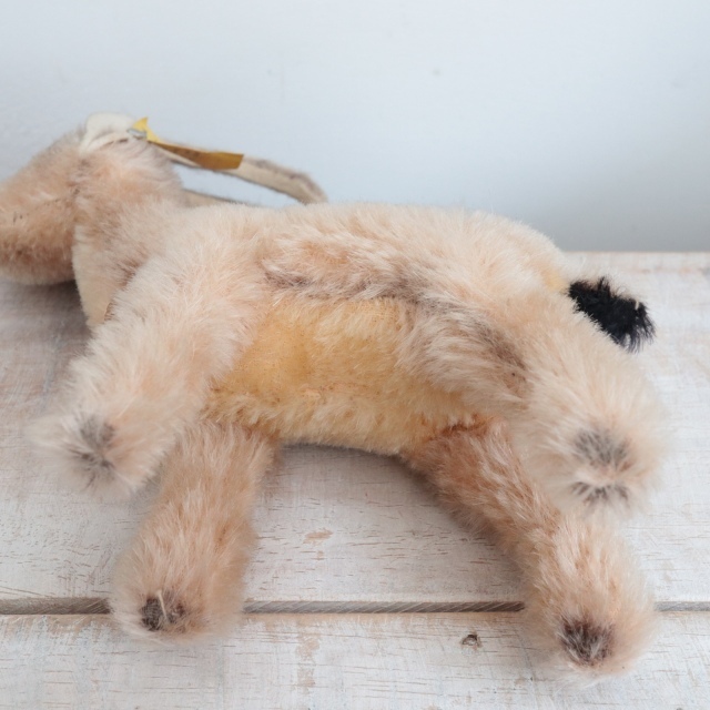 アンティーク シュタイフ 山羊 Steiff Rocky 14cm