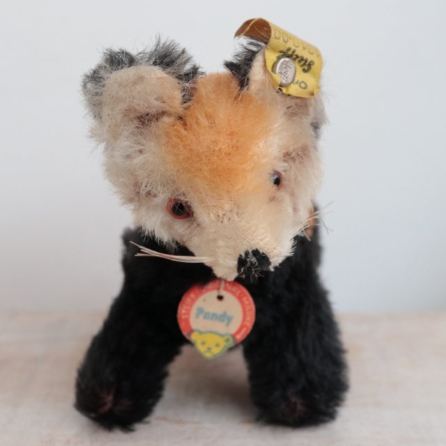 アンティーク シュタイフ レッサーパンダ Steiff Pandy 10cm