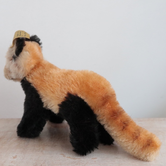 アンティーク シュタイフ レッサーパンダ Steiff Pandy 10cm