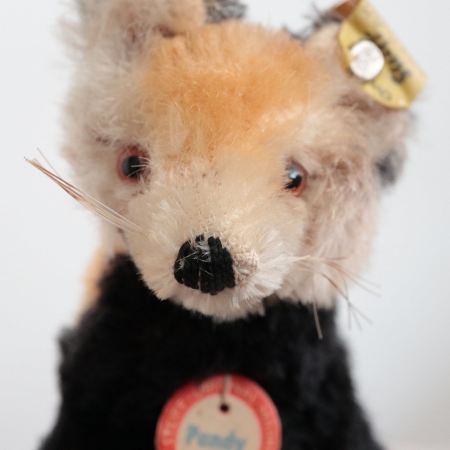 アンティーク シュタイフ レッサーパンダ Steiff Pandy 10cm