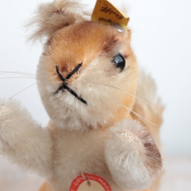 アンティーク シュタイフ リス Steiff Possy 14cm