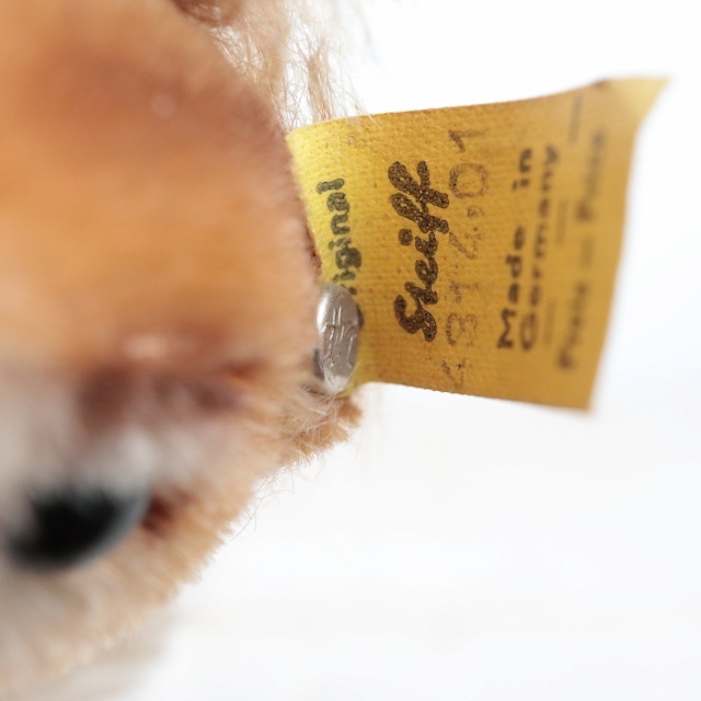 アンティーク シュタイフ リス Steiff Possy 14cm