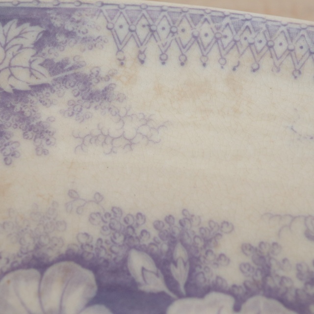 アンティーク ラヴィエ オーバル皿 JARDINIERE フランス サルグミンヌ製 U&C SARREGUEMINES