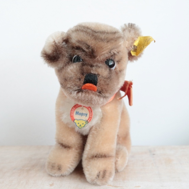 アンティーク シュタイフ パグ Steiff Mopsy 12cm