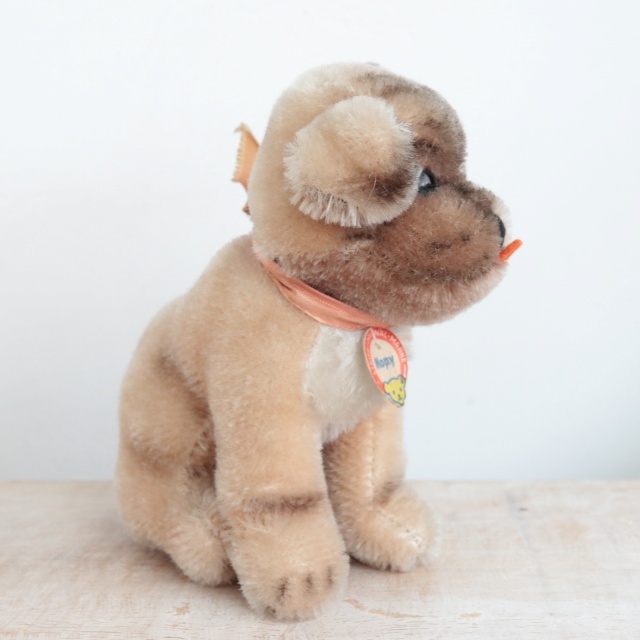 アンティーク シュタイフ パグ Steiff Mopsy 12cm