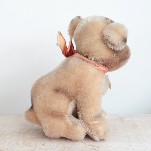 アンティーク シュタイフ パグ Steiff Mopsy 12cm