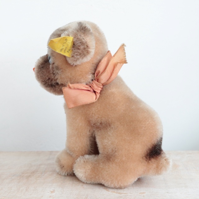 アンティーク シュタイフ パグ Steiff Mopsy 12cm