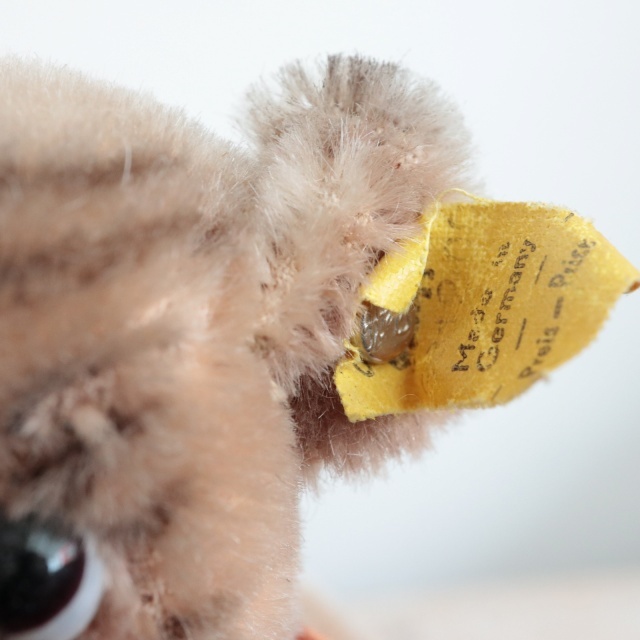 アンティーク シュタイフ パグ Steiff Mopsy 12cm