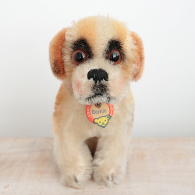 アンティーク シュタイフ セントバーナード Steiff Bernie 12cm
