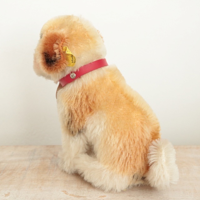 アンティーク シュタイフ セントバーナード Steiff Bernie 12cm