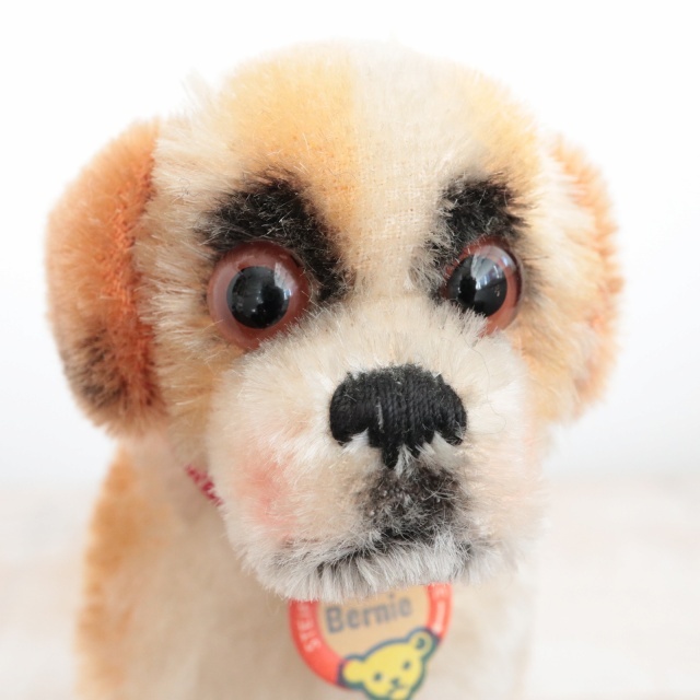 アンティーク シュタイフ セントバーナード Steiff Bernie 12cm