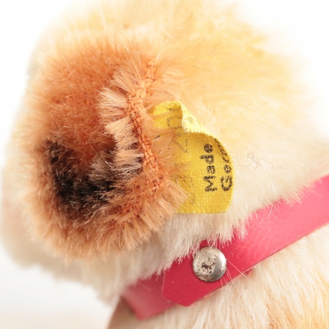 アンティーク シュタイフ セントバーナード Steiff Bernie 12cm