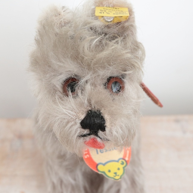 アンティーク シュタイフ シュナウザー Steiff Tessie 14cm