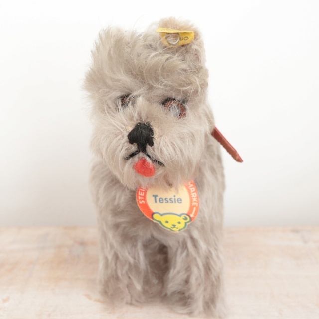 アンティーク シュタイフ シュナウザー Steiff Tessie 14cm
