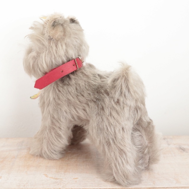 アンティーク シュタイフ シュナウザー Steiff Tessie 14cm