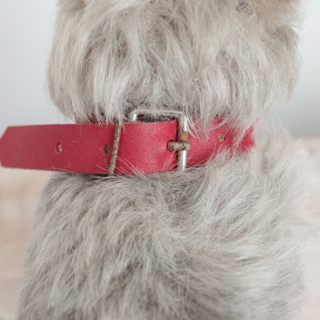 アンティーク シュタイフ シュナウザー Steiff Tessie 14cm
