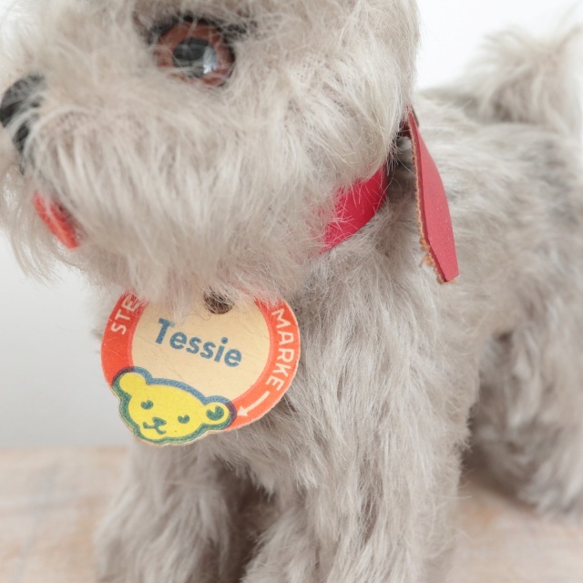 アンティーク シュタイフ シュナウザー Steiff Tessie 14cm