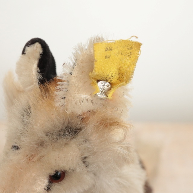 アンティーク シュタイフ コリー Steiff Collie 12cm