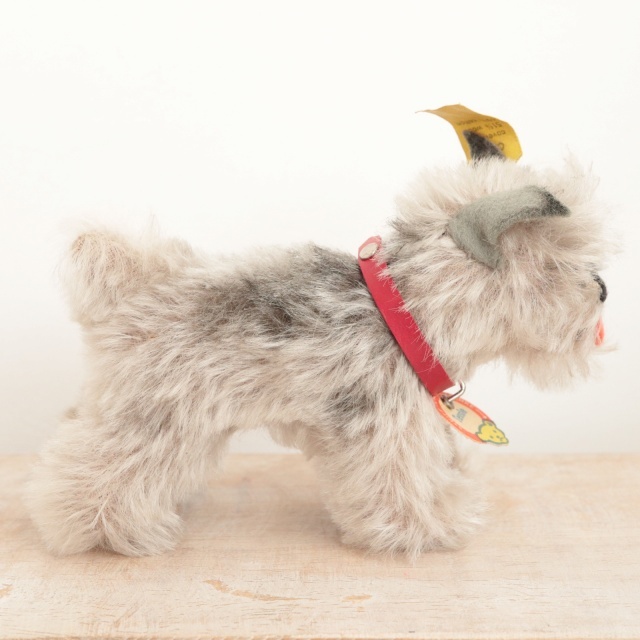 シュタイフ　シュナウザー　tessi 犬　アンティーク　ヴィンテージ 1954-70年代 ドイツ製 Steiff 犬 シュナウザー Schnauzer Tessie