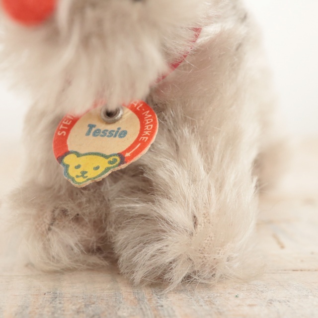 アンティーク シュタイフ シュナウザー Steiff Tessie 10cm