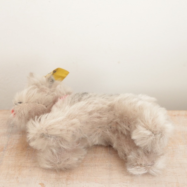 アンティーク シュタイフ シュナウザー Steiff Tessie 10cm