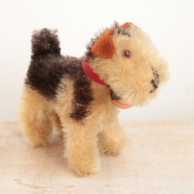 アンティーク シュタイフ エアデールテリア Steiff Terry 8cm