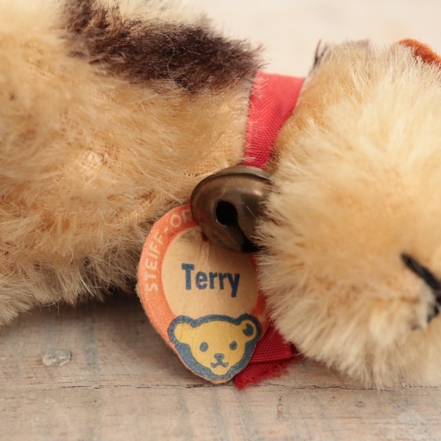アンティーク シュタイフ エアデールテリア Steiff Terry 8cm