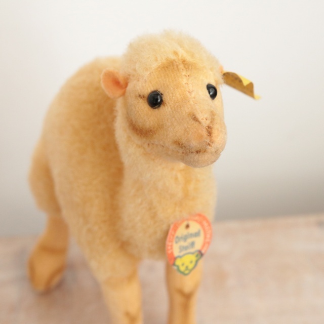 アンティーク シュタイフ ラクダ Steiff Dromedary 14cm