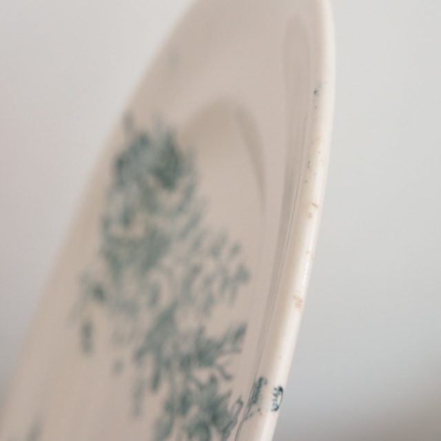 アンティーク プレート 小鳥 皿  MIGNON フランス ロンウィー製 LONGWY