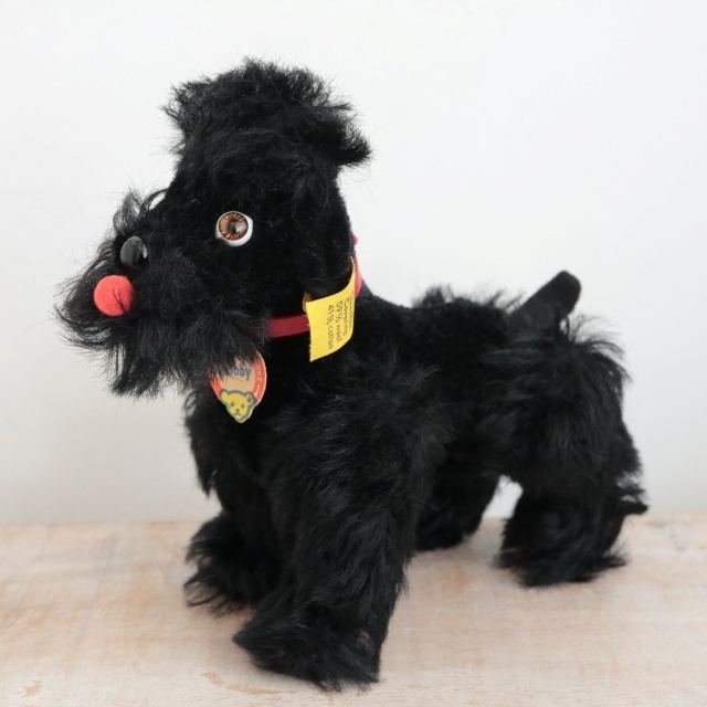 アンティーク シュタイフ プードル ブラック Steiff Snobby 14cm