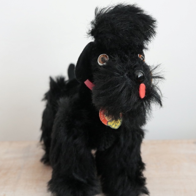 アンティーク シュタイフ プードル ブラック Steiff Snobby 14cm