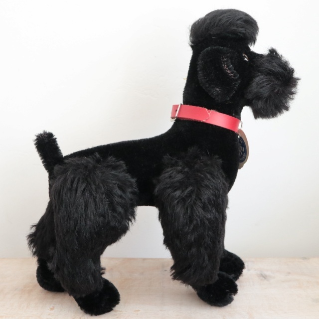 アンティーク シュタイフ プードル ブラック Steiff Snobby 22cm