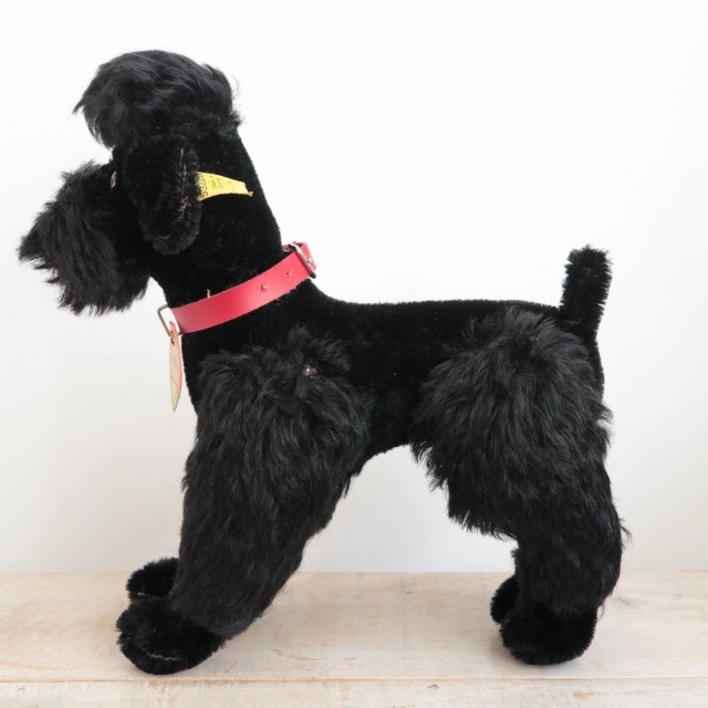 アンティーク シュタイフ プードル ブラック Steiff Snobby 22cm