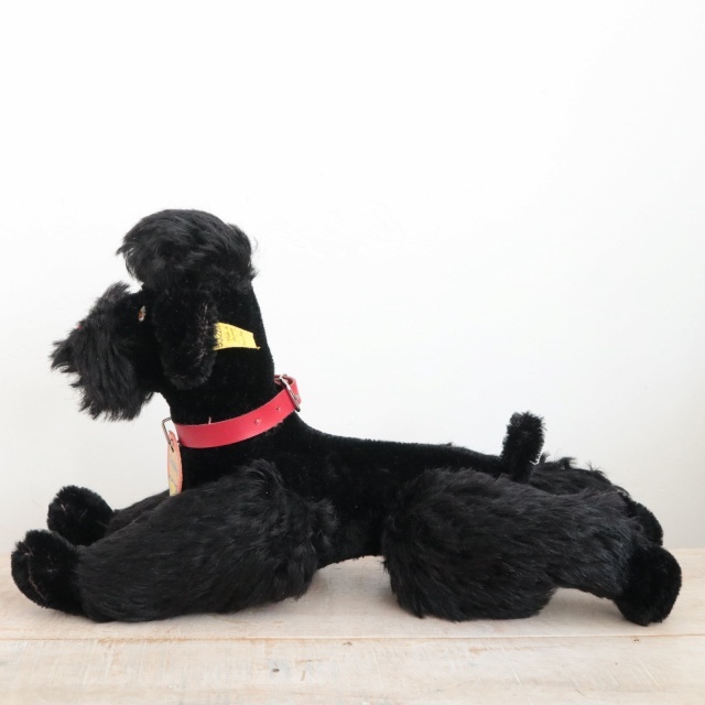 アンティーク シュタイフ プードル ブラック Steiff Snobby 22cm