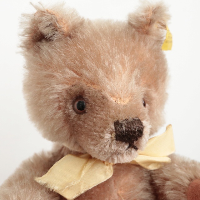 アンティーク シュタイフ オリジナル テディベア Steiff Original Teddy 26cm