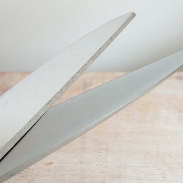 ノジャン製 裁ちばさみ Nogent Professional scissors Tailleur Paris 25cm