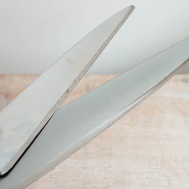 ノジャン製 裁ちばさみ Nogent Professional scissors Tailleur Paris 25cm