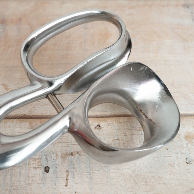 ノジャン製 裁ちばさみ Nogent Professional scissors Tailleur Paris 25cm