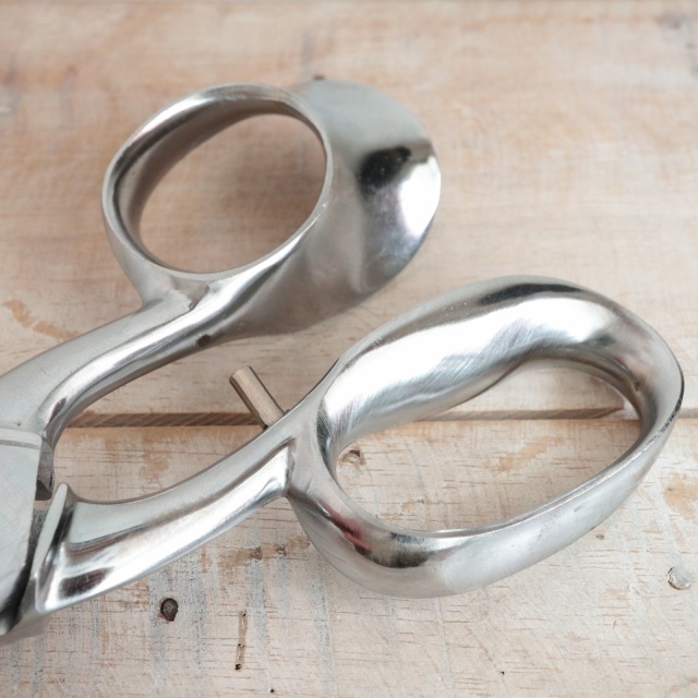 ノジャン製 裁ちばさみ Nogent Professional scissors Tailleur Paris 25cm