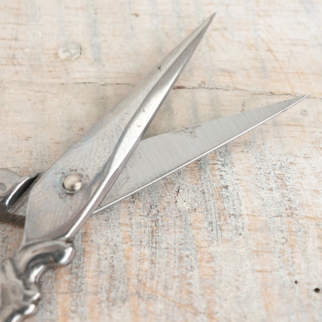 フランス銀貨ナイフ、ヤスリ、ハサミ付き Amazon | VICTORINOX(ビクトリノックス) クラシック SD 多機能 ナイフ