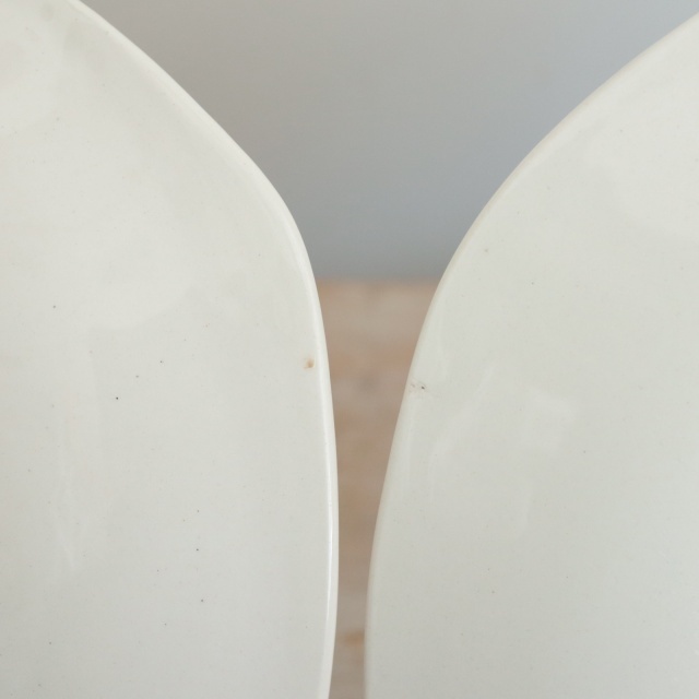ミッドウィンター 毒キノコ トードストゥール ティートリオ MIDWINTER Toad Stools
