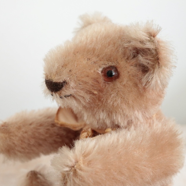 アンティーク シュタイフ オリジナル テディベア Steiff Original Teddy