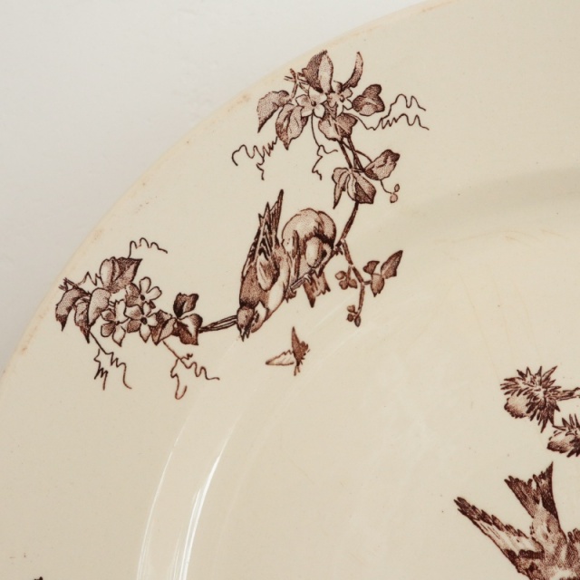 アンティーク プレート 大皿 CHARDONNERET フランス クレイユモントロー製 Creil Montereau