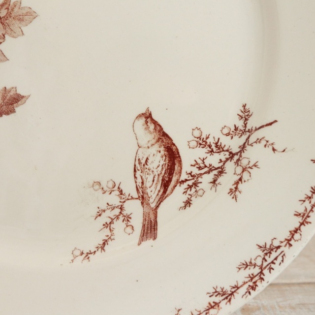 アンティーク プレート 小鳥 デザート皿 SYLVA フランス クレイユモントロー製 Creil Montereau