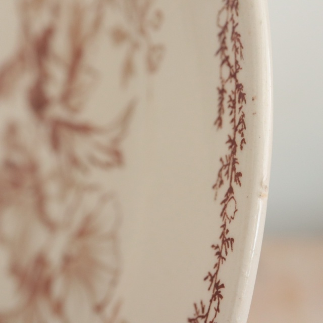 アンティーク プレート 小鳥 デザート皿 SYLVA フランス クレイユモントロー製 Creil Montereau