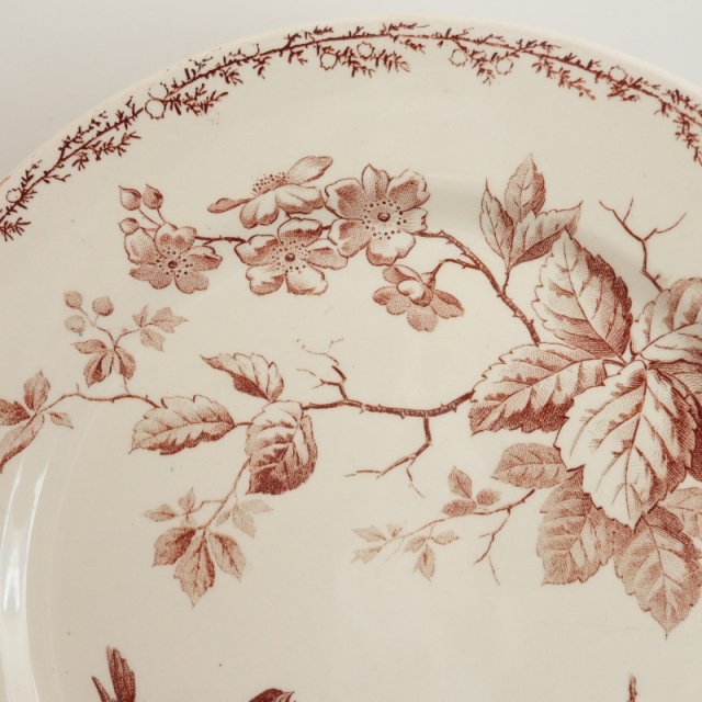 アンティーク プレート 小鳥 デザート皿 SYLVA フランス クレイユモントロー製 Creil Montereau