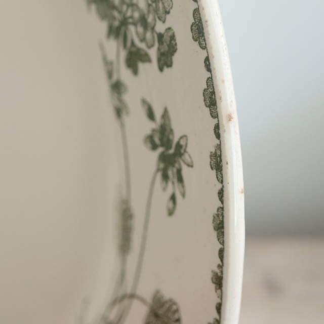 アンティークプレート ゼラニウム 大皿 GERANIUM フランス サルグミンヌ製 U&C SARREGUEMINES