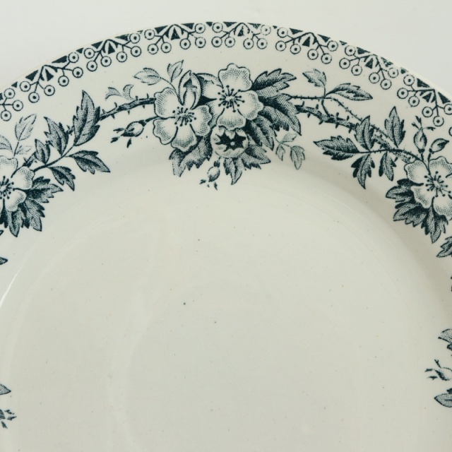 アンティークプレート グアドループ 皿 GUADELOUPE フランス  